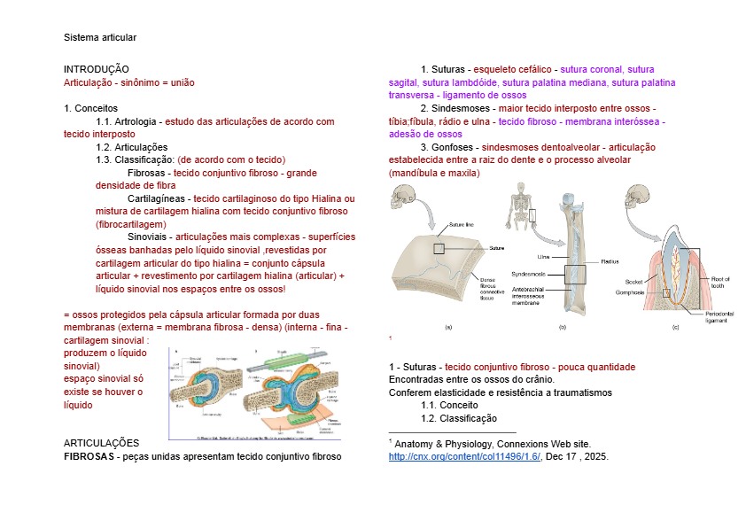 Sistema articular