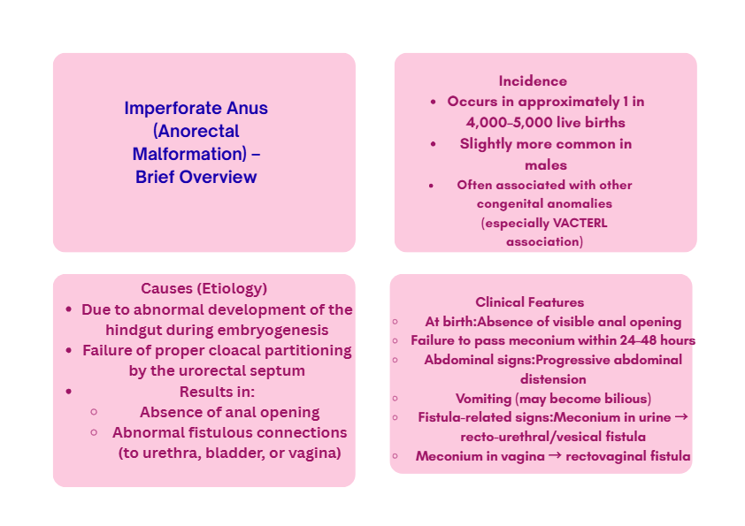 Imperforate Anus – Pediatric Surgery Notes | Congenital Anorectal Malformation Overview and Manageme