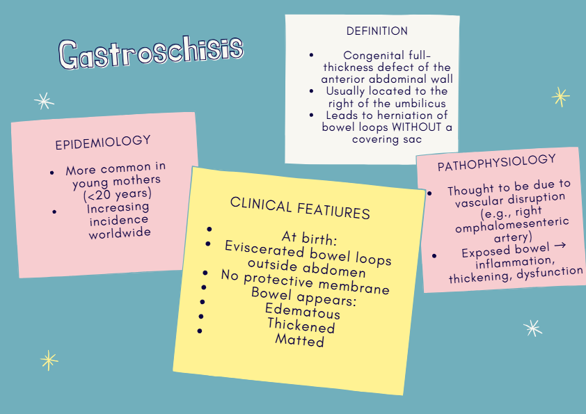 Gastroschisis – Neonatal Surgery Notes | Congenital Abdominal Wall Defect Overview and Management Su