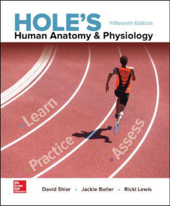 Test Bank For Hole's Human Anatomy & Physiology 15th Edition ( David Shier, 2025) All Chapters | Lat