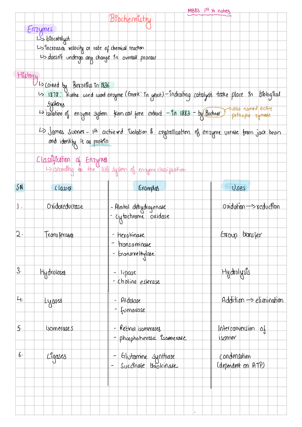 ENZYMES BIOCHEMISTRY 1ST YEAR NOTES