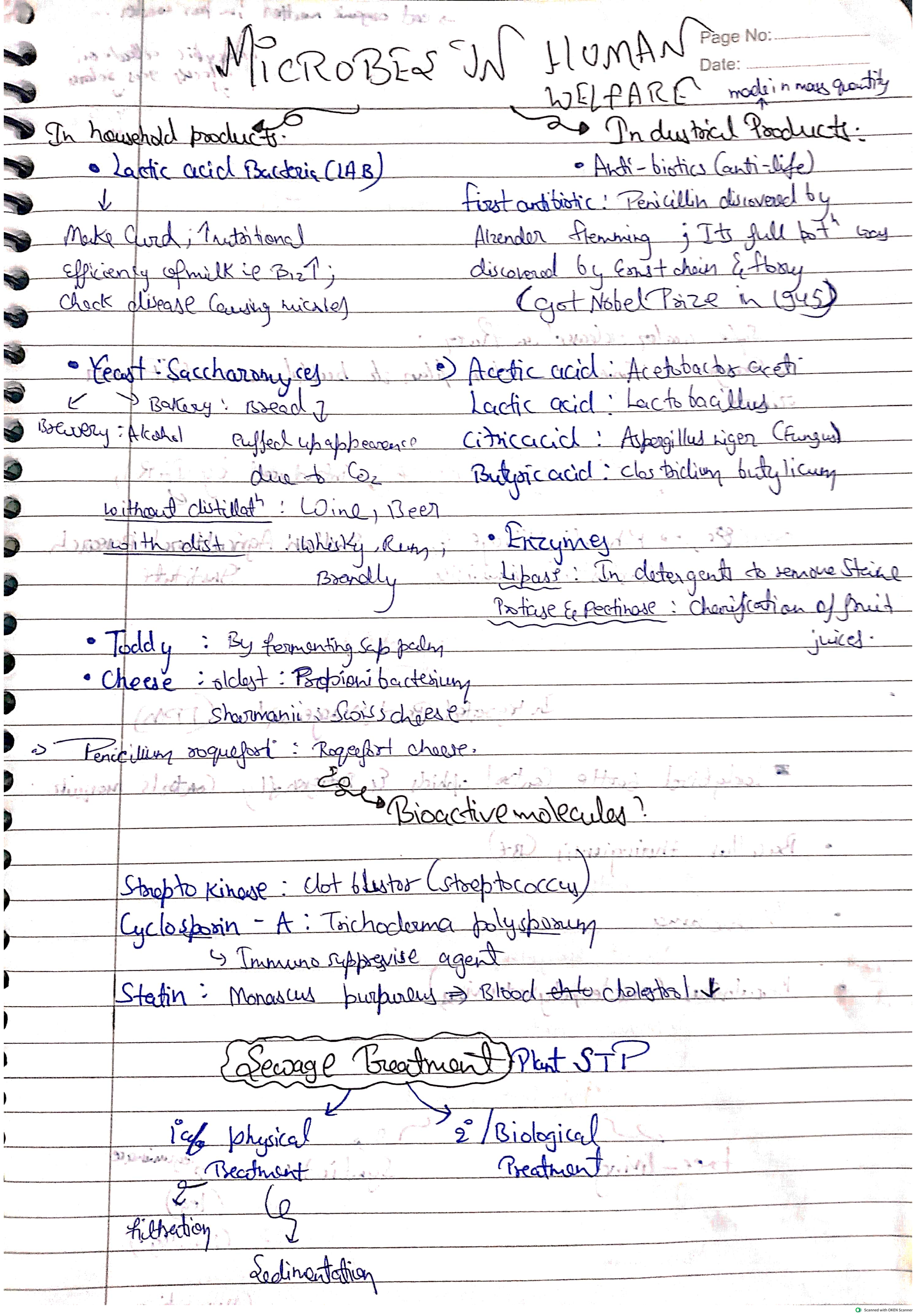 Microbes in human welfare short notes