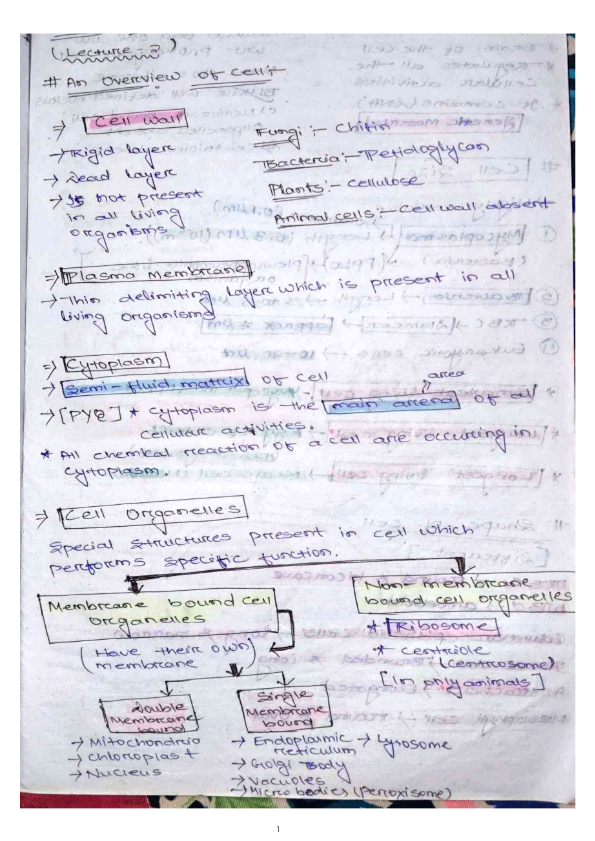 Botany Lecture 2