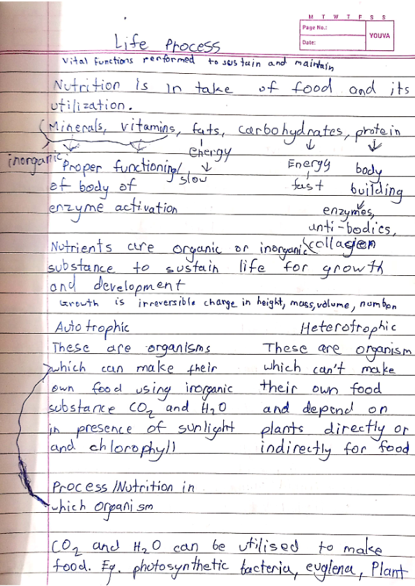 Life Processes-Nutrition